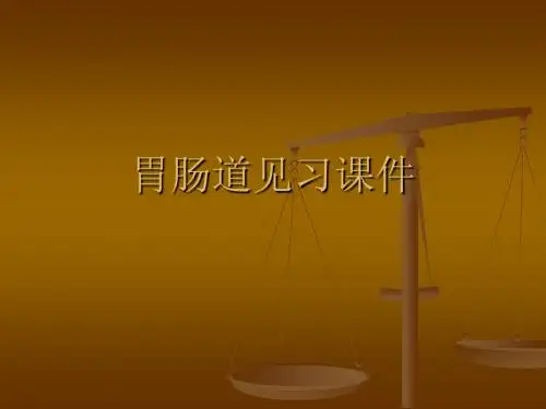 医学影像学胃肠道实习PPT课件