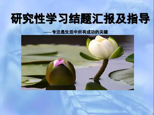 高中综合实践活动_研究性学习结题汇报及指导教学课件设计