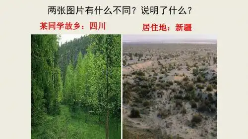 人教版必修1 地理：5.2 自然地理环境的差异性  课件(共25张PPT)