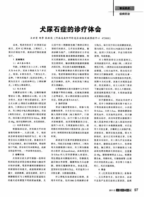 犬尿石症的诊疗体会