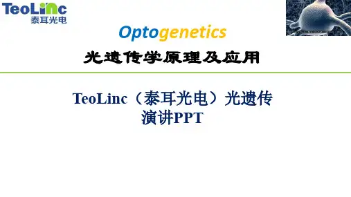 光遗传optogenetics