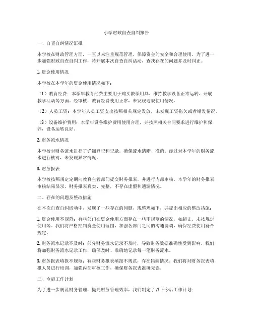 小学财政自查自纠报告