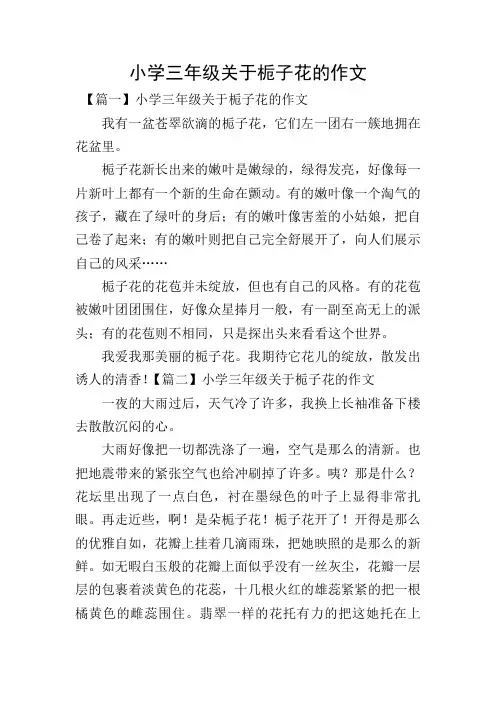 小学三年级关于栀子花的作文