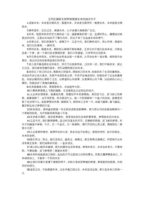 五四红旗团支部答辩展望未来的励志句子