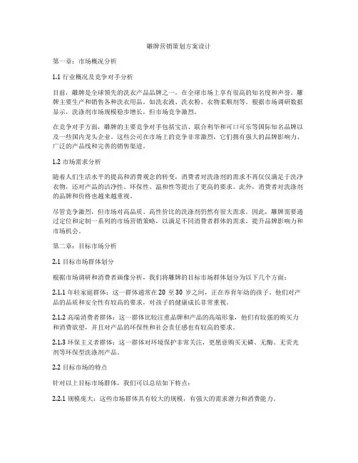 雕牌营销策划方案设计