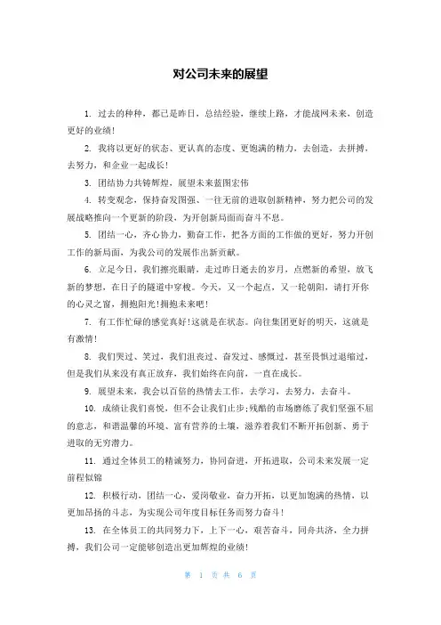 对公司未来的展望