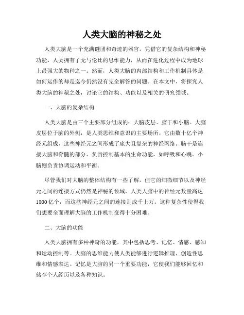 人类大脑的神秘之处