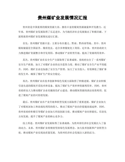贵州煤矿业发展情况汇报