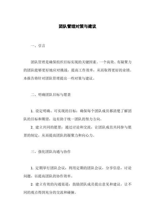 团队管理对策与建议
