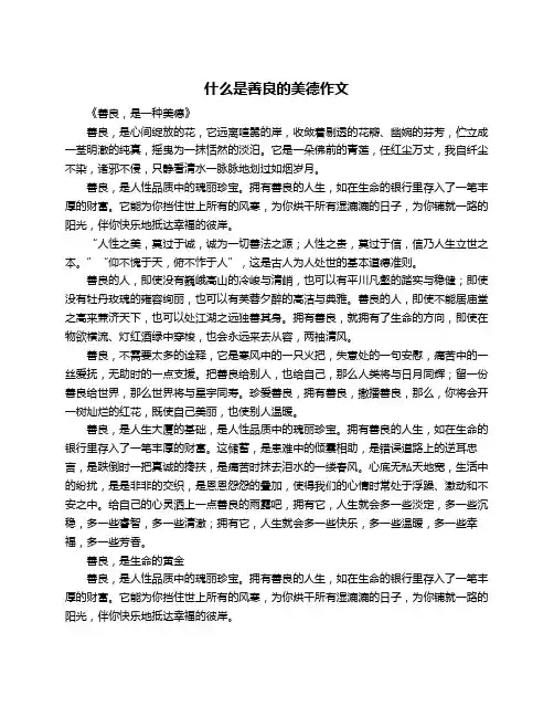 什么是善良的美德作文