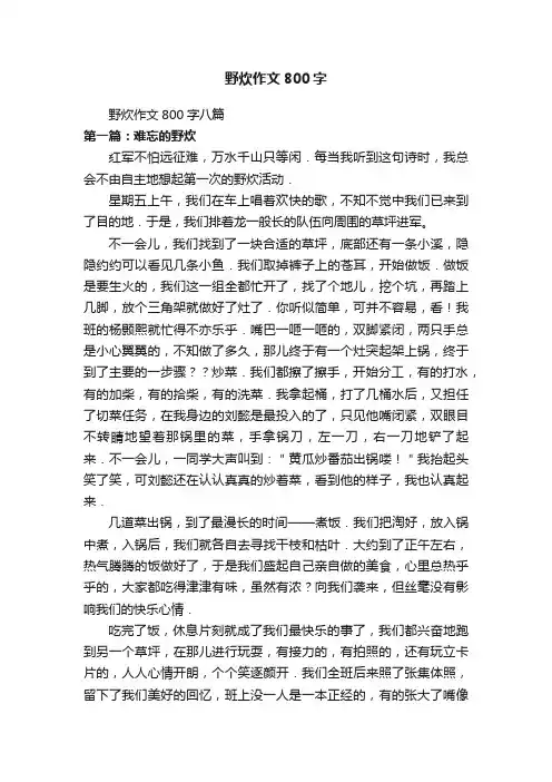 野炊作文800字八篇
