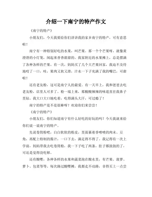 介绍一下南宁的特产作文