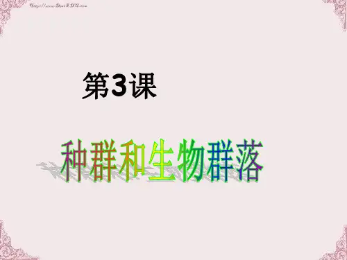 初三总复习第3课 种群和群落 浙教版