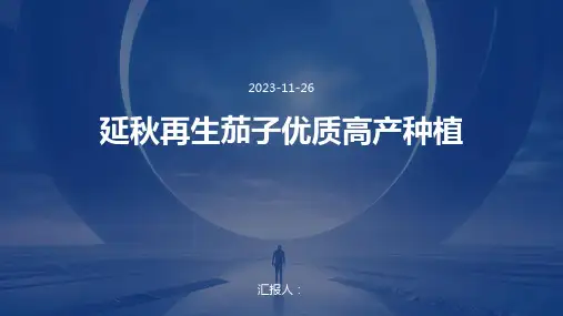延秋再生茄子优质高产种植