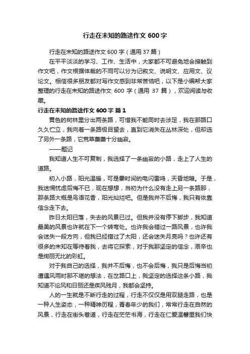 行走在未知的路途作文600字