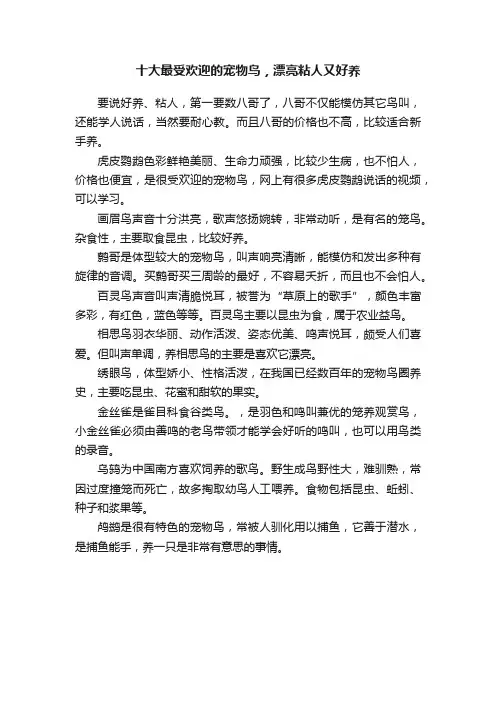 十大最受欢迎的宠物鸟，漂亮粘人又好养