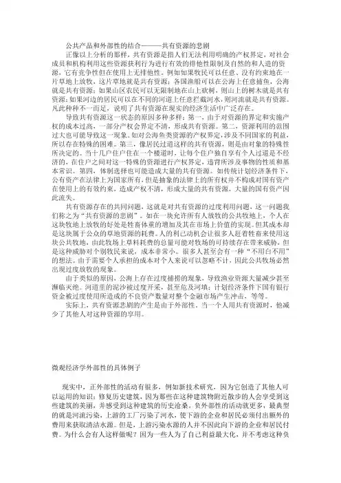 公共产品和外部性的结合