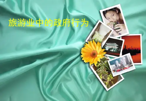 旅游业中的政府行为
