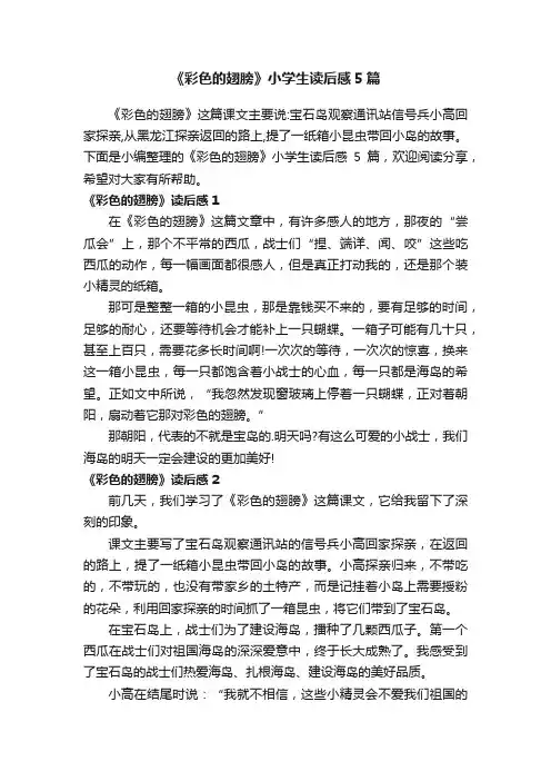 《彩色的翅膀》小学生读后感5篇