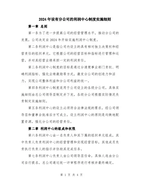 2024年设有分公司的利润中心制度实施细则