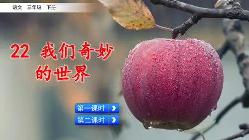 部编人教版三年级语文下册第22课《我们奇妙的世界》优质PPT课件