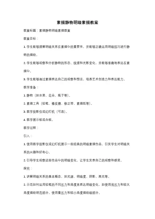 素描静物明暗素描教案