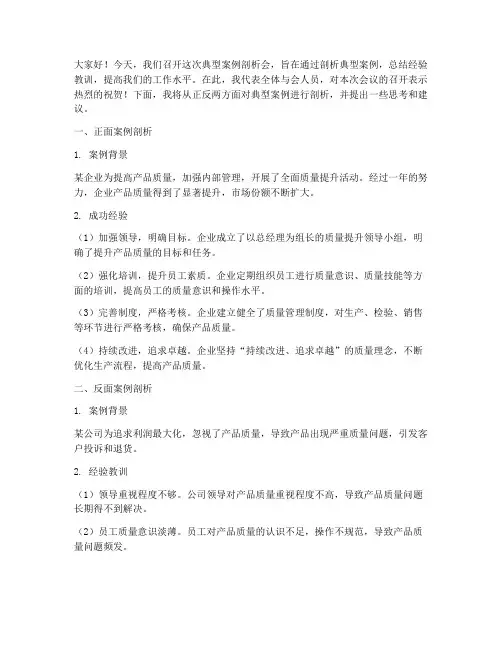 正反面典型案例剖析会领导发言稿