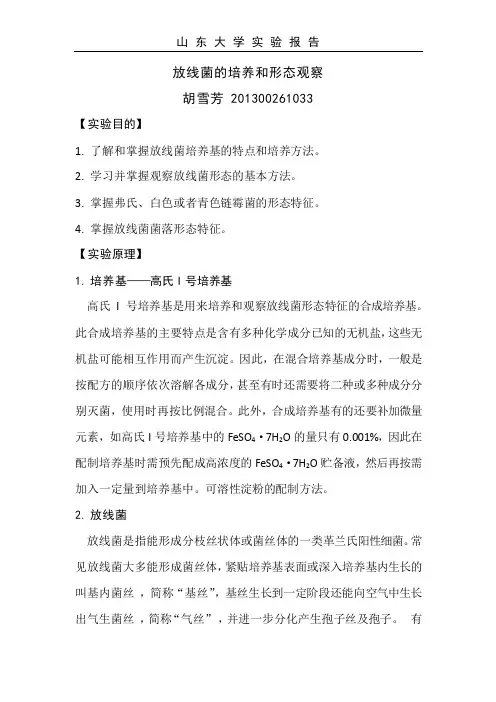 放线菌的培养和形态观察