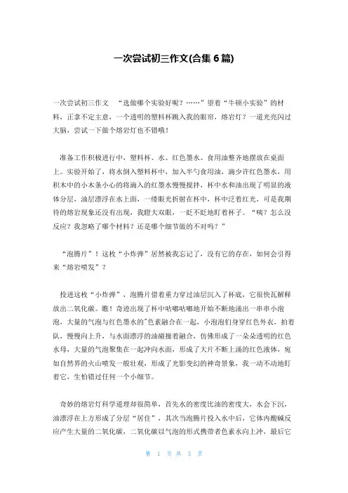 一次尝试初三作文(合集6篇)