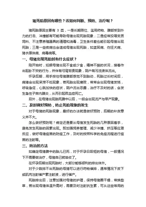猪死胎原因有哪些？该如何判断、预防、治疗呢？