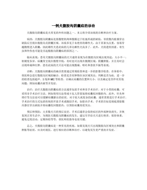 一例犬腹股沟阴囊疝的诊治