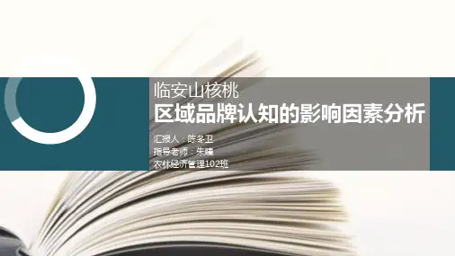 产品介绍PPT全