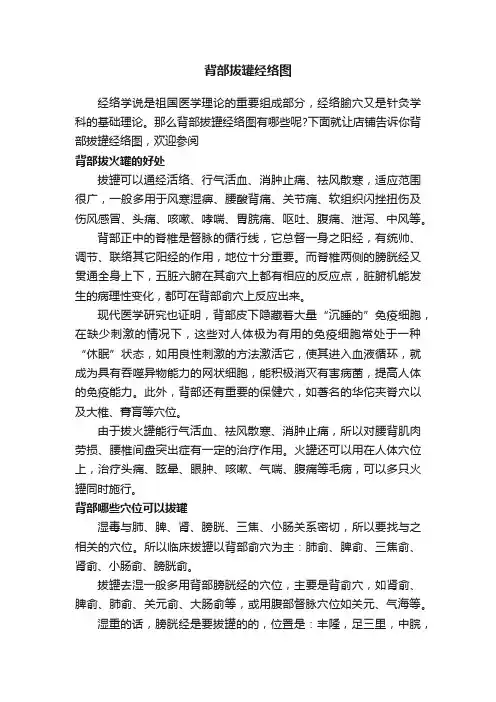 背部拔罐经络图
