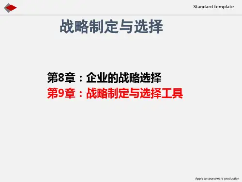 企业战略管理 战略制定与选择的工具