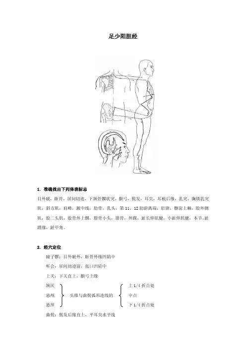 足少阳胆经