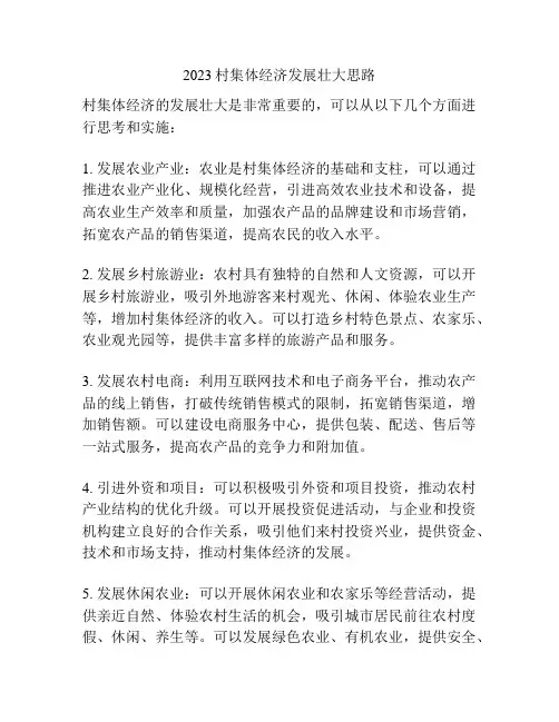 2023村集体经济发展壮大思路