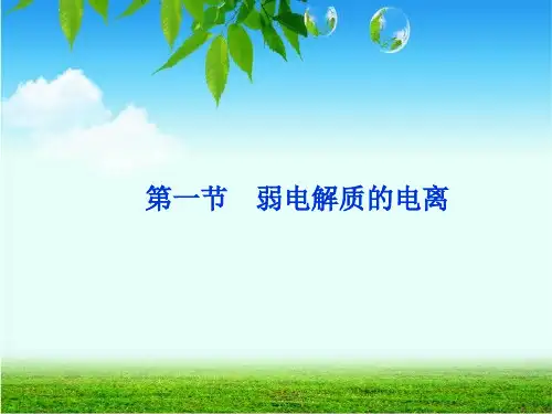 人教版化学《弱电解质的电离》精美课件1
