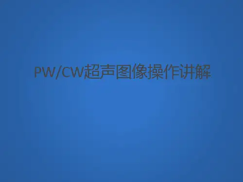 医疗设备标准化 PWCW超声图像操作讲解 图文