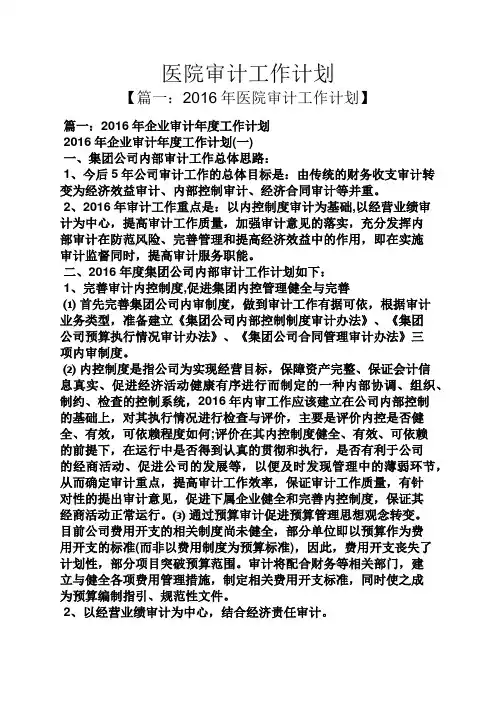 医院审计工作计划