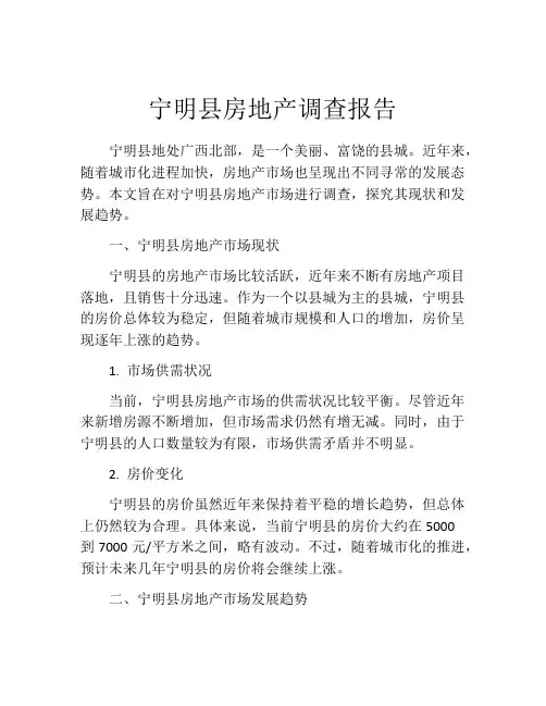 宁明县房地产调查报告