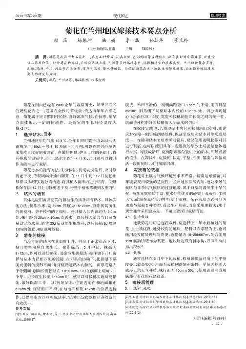 菊花在兰州地区嫁接技术要点分析