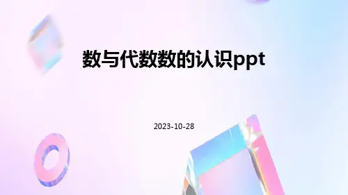 数与代数数的认识ppt