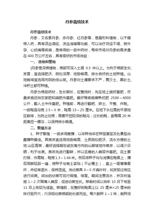 丹参栽培技术