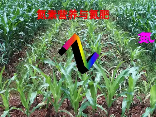 化学肥料氮素营养与氮肥