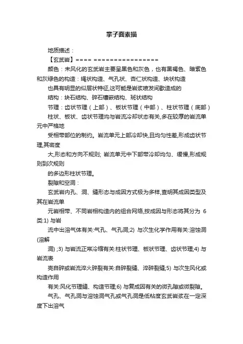 掌子面素描
