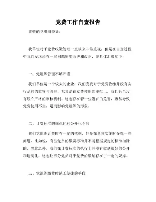 党费工作自查报告