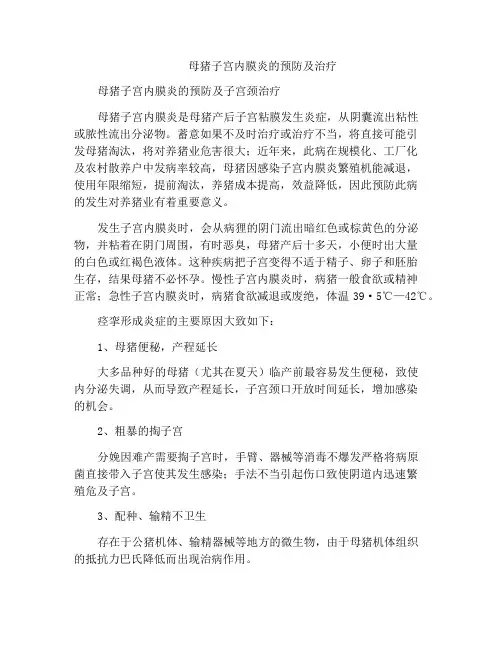母猪子宫内膜炎的预防及治疗
