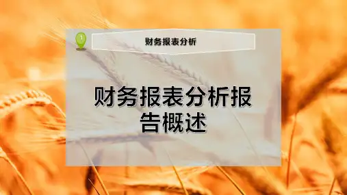 财务报表分析报告概述