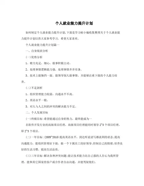 个人就业能力提升计划