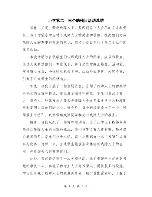 小学第二十三个助残日活动总结
